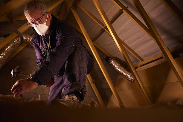 Best Cellulose Insulation in Miami Beach, FL
